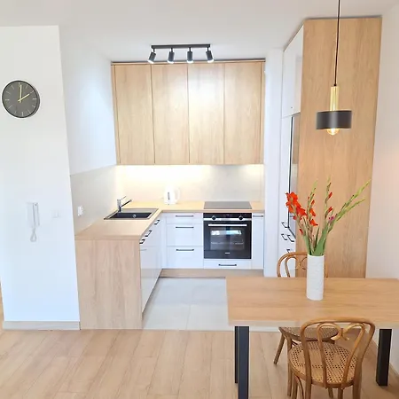 Loft 19 - W Cenie Prywatne Miejsce Postojowe Lub Garaz *