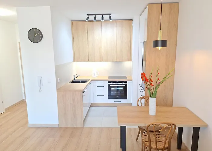 Loft 19 - W Cenie Prywatne Miejsce Postojowe Lub Garaz *